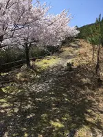 石津御嶽登山口駐車場の写真・動画_image_928818