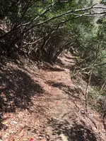 石津御嶽登山口駐車場の写真・動画_image_928825