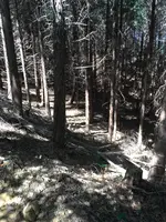 石津御嶽登山口駐車場の写真・動画_image_928829