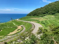 千枚田珈琲の写真・動画_image_946292