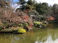 成田（成田山表参道）の写真・動画_image_947281