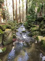 成田（成田山表参道）の写真・動画_image_947284