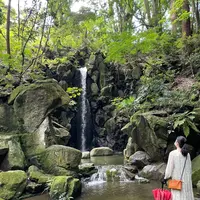 成田（成田山表参道）の写真・動画_image_947315