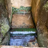 鹿島神宮の写真・動画_image_949301