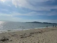 浜の宮ビーチの写真・動画_image_951546