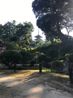 妙成寺の写真・動画_image_951571