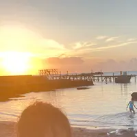 荒井浜海水浴場の写真・動画_image_957832