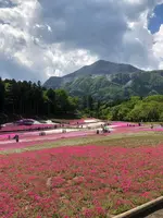 羊山公園の写真・動画_image_959081