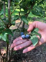 道の駅 川場田園プラザの写真・動画_image_959604