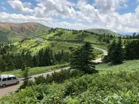 草津白根山の写真・動画_image_959642