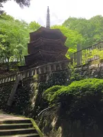 安楽寺の写真・動画_image_959646