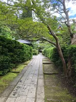 安楽寺の写真・動画_image_959650