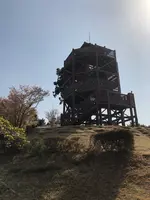 仙元山の写真・動画_image_959666