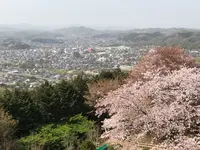 仙元山の写真・動画_image_959668