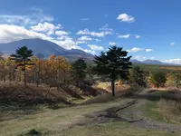北軽井沢の写真・動画_image_959687