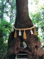 笠森観音の写真・動画_image_959990