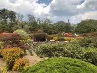 沼田城址の写真・動画_image_960240