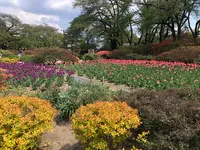 沼田城址の写真・動画_image_960241