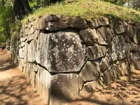 沼田城址の写真・動画_image_960242