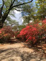 沼田城址の写真・動画_image_960243