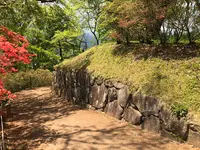 沼田城址の写真・動画_image_960244