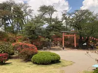 沼田城址の写真・動画_image_960245