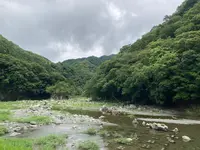 緑の休暇村・青根キャンプ場の写真・動画_image_961033