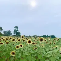 和泉リサイクル環境公園の写真・動画_image_962509