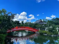 神泉苑の写真・動画_image_964711