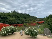 高山稲荷神社の写真・動画_image_975499
