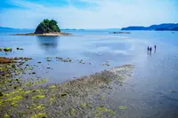 黒島ヴィーナスロードの写真・動画_image_975602