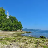 元宇品公園の写真・動画_image_975629