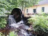 Mathildedalの写真・動画_image_975710