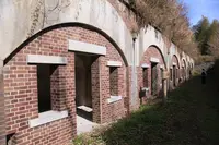 小島の写真・動画_image_975910