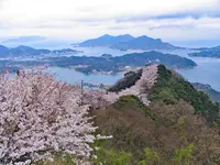 積善山の写真・動画_image_975912