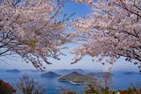 紫雲出山の写真・動画_image_975940