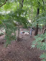 cafe KO-BAの写真・動画_image_977801