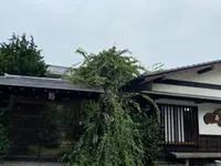 ことぶきの写真・動画_image_978567