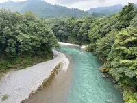 ことぶきの写真・動画_image_978568