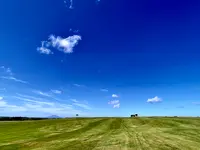 稚内カントリークラブの写真・動画_image_980968