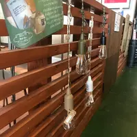 BASE nelloの写真・動画_image_984859