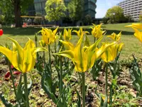 都立シンボルプロムナード公園　の写真・動画_image_991327