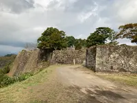 岡城跡の写真・動画_image_996976