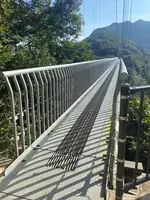綾の照葉大吊橋の写真・動画_image_999069
