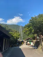 綾の照葉大吊橋の写真・動画_image_999070