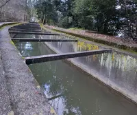 南禅寺の写真・動画_image_109984