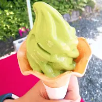 壱之庄（いちのしょう）㈱協栄製茶の写真・動画_image_196291