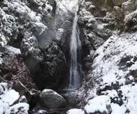 雄滝雌滝の写真・動画_image_52775