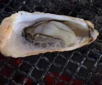 海辺のほったて小屋の写真・動画_image_125477