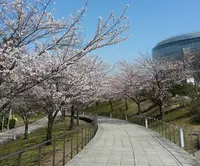 白山公園の写真・動画_image_130118